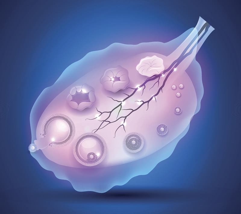 2026北京辅助生殖进医保全攻略：北医三院报销流程手把手教学